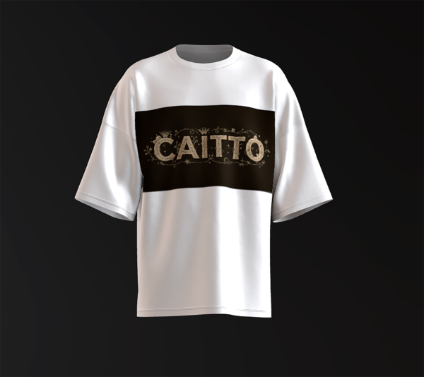 Remera "CAITTO" HM001